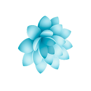 flower decor